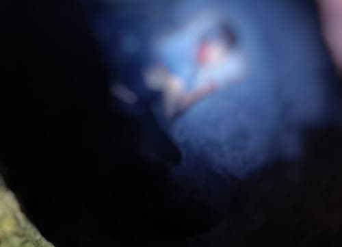 IMAGEM FORTE: corpo de homem é jogado em bueiro após ser linchado em Manaus