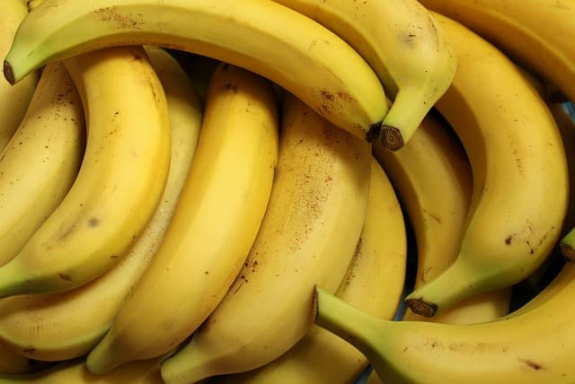Bananas em risco: nova cepa de fungo pode levar fruta à extinção; entenda