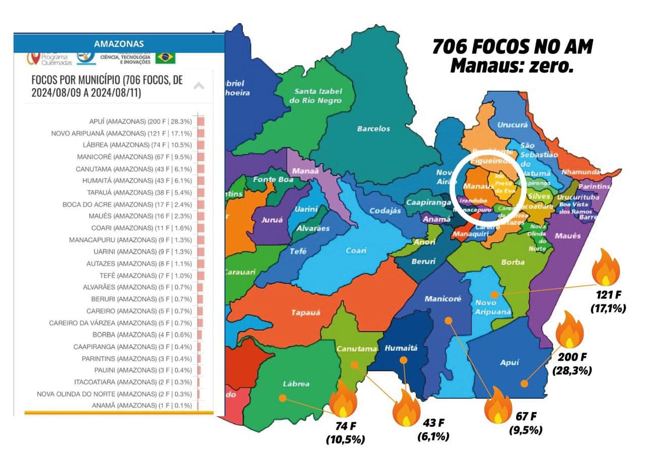 Mapa mostra mais de 700 focos de queimadas no Amazonas
