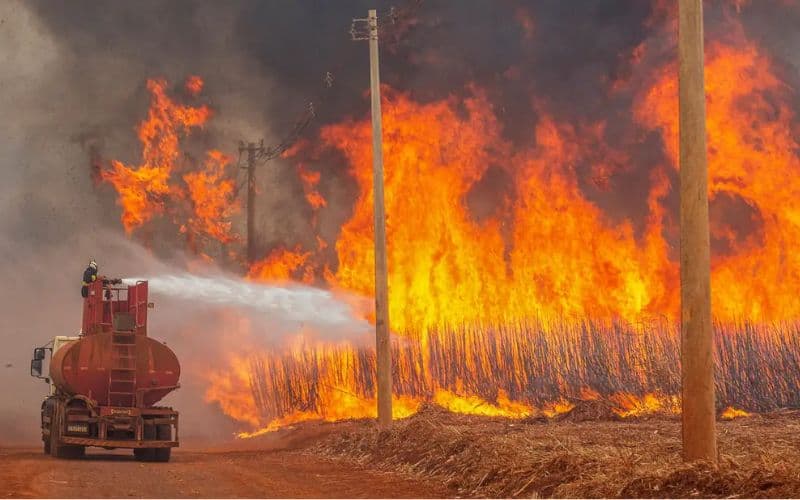 Brasil concentra 71,9% de todas as queimadas na América do Sul nas últimas 48h