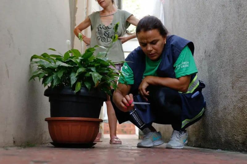 Brasil está próximo de atingir a marca de 5 mil mortes por dengue em 2024