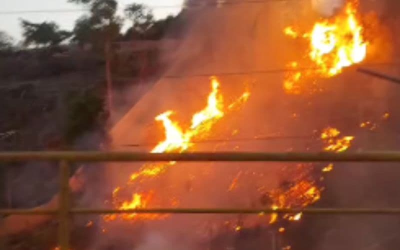 VÍDEO: Incêndio atinge área de mata na Avenida das Flores