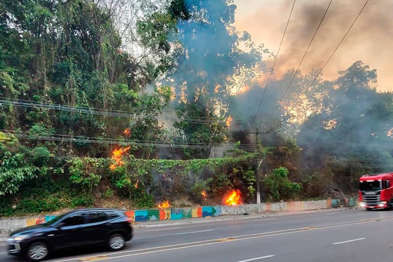 Incêndio atinge área de mata na zona Centro-Sul de Manaus