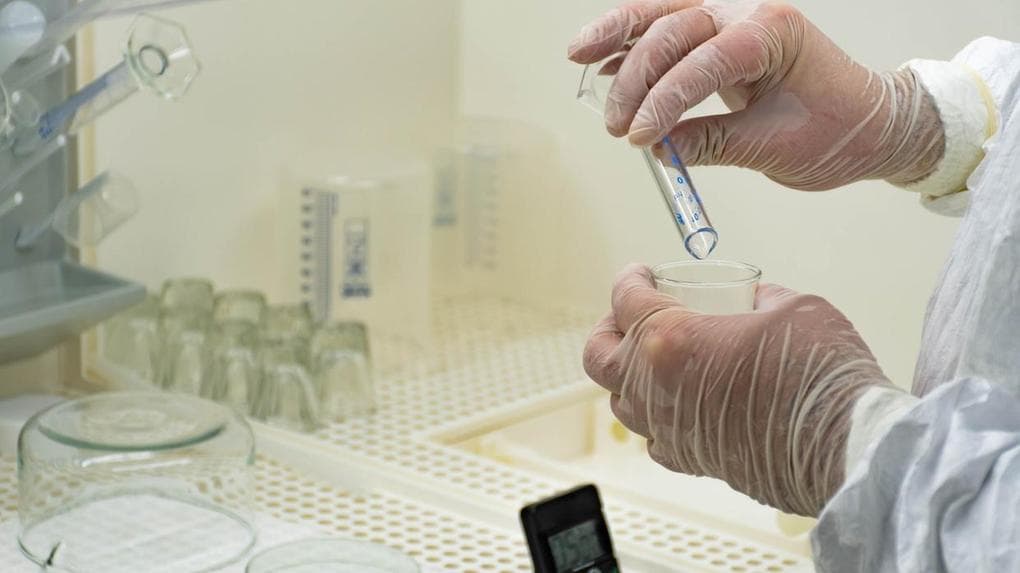 Febre oropouche: Ministério da Saúde confirma 1° morte de feto no Brasil