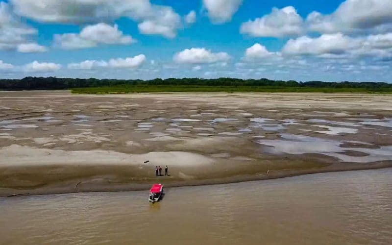 Estiagem severa: Todos os  62 municípios do Amazonas estão em situação de emergência