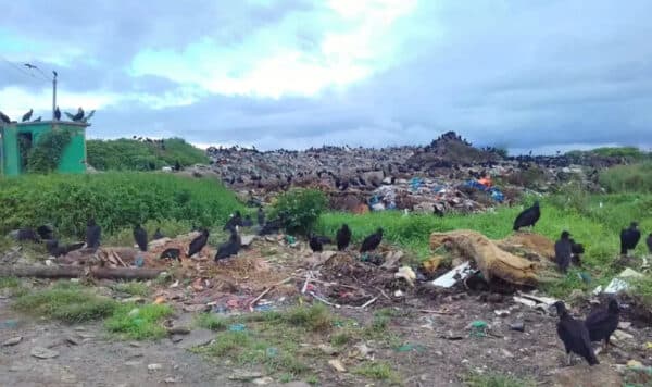 Corpo de homem é encontrado em lixão no município de Parintins