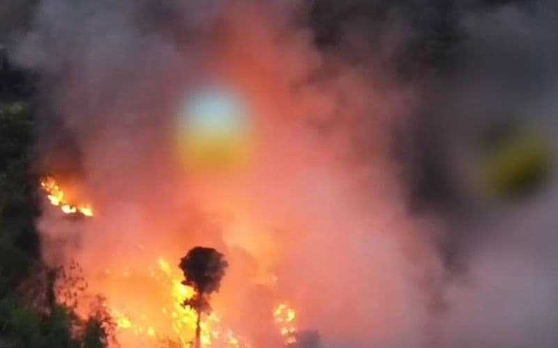 VÍDEO: Incêndio deixa rastro de destruição em área de mata no Jorge Teixeira