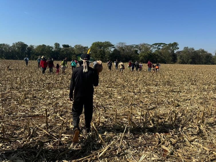 União propõe acordo para encerrar conflito por terra em Mato Grosso do Sul entre indígenas e produtores