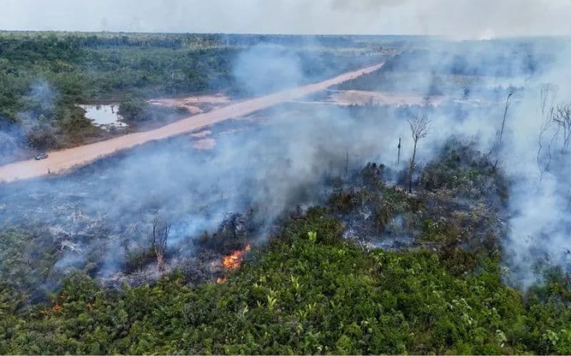 Governo entra com primeira ação por danos climáticos contra a Amazônia