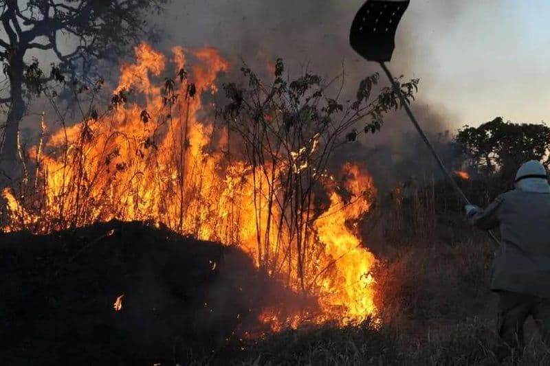 MPF aciona Justiça e cobra da União brigadistas para incêndios na região Norte