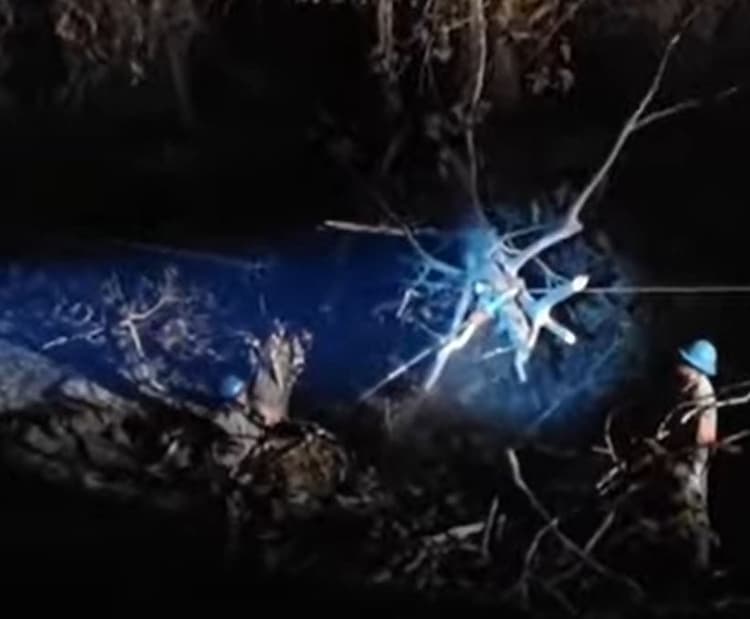 Queda de árvore causa apagão de quase oito horas em Manacapuru