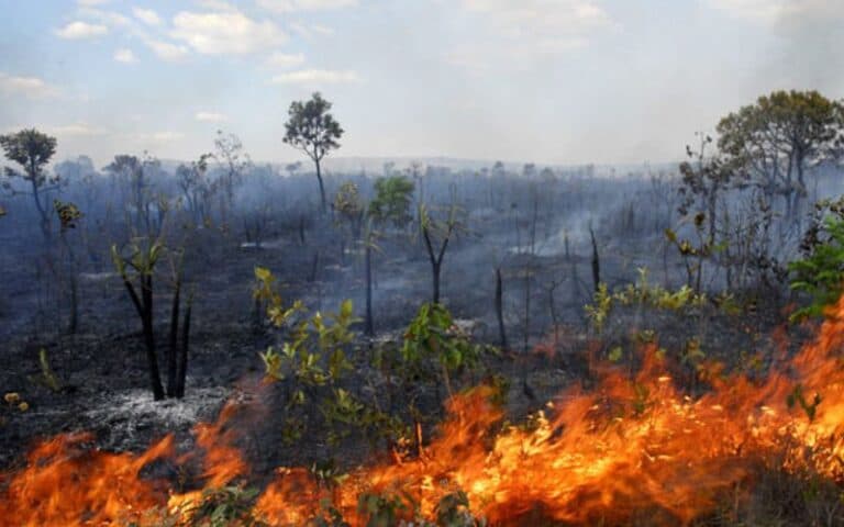 Governo Federal reconhece emergência em 36 municípios do Amazonas