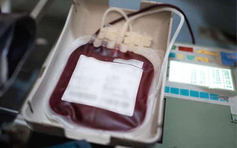 STF permite que Testemunhas de Jeová recusem transfusão de sangue em tratamentos médicos