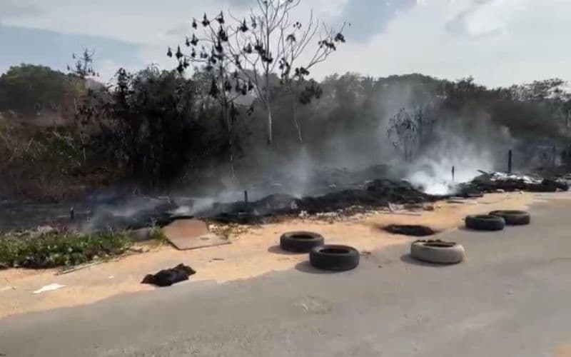 VÍDEOS: Área de mata fica devastada após incêndio na Avenida das Torres