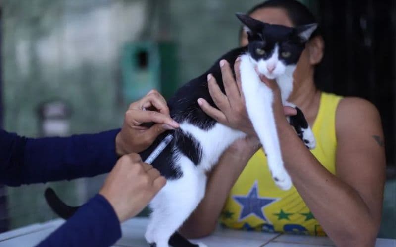 Semsa convoca aprovados no processo seletivo para vacinadores em Manaus