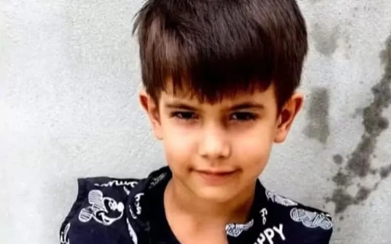 Menino de 6 anos morre por choque anafilático após picada de abelha