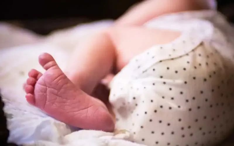 Bebê nasce em abrigo na Flórida após passagem do furacão Milton