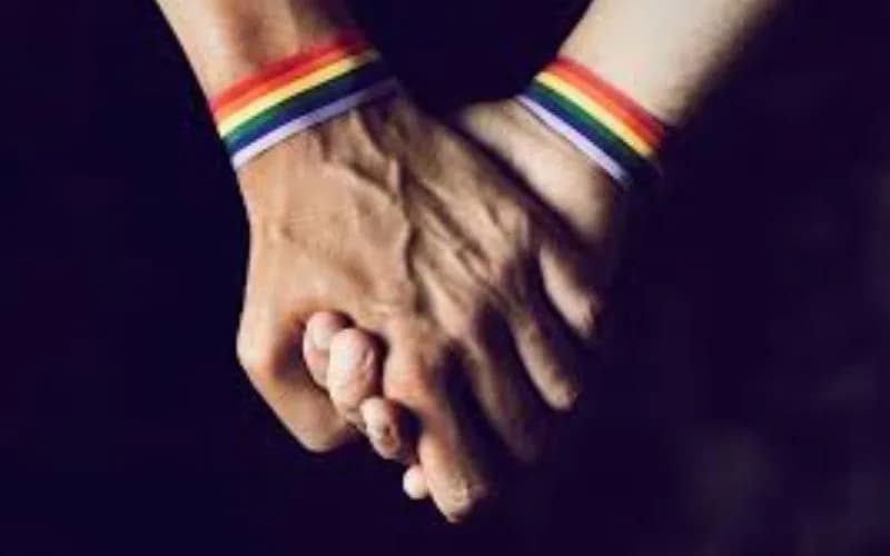 Número de lares chefiados por casal homoafetivo aumenta 552,4%, diz Censo 2022