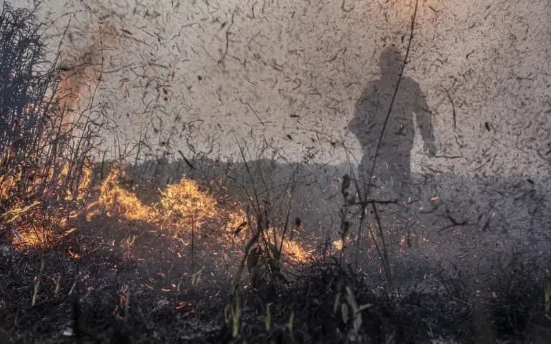Focos de incêndios no Brasil já são 76% maiores que em 2023, diz Inpe