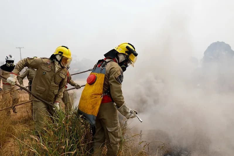 Amazonas registra mais de 21,9 mil focos de incêndio