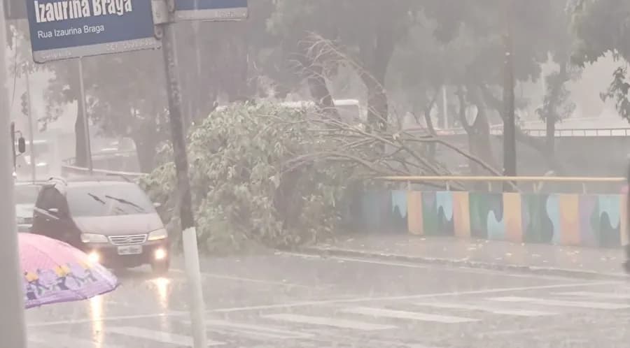 VÍDEOS: Manaus entra em ‘perigo potencial’ por causa da chuva; alagamentos e estragos ocorrem pela cidade