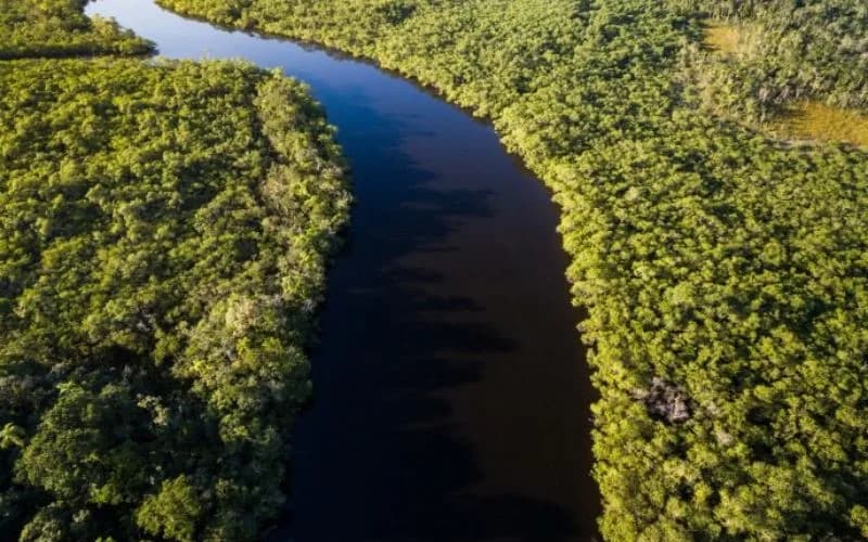 Noruega anuncia doação de US$ 60 milhões ao Fundo Amazônia