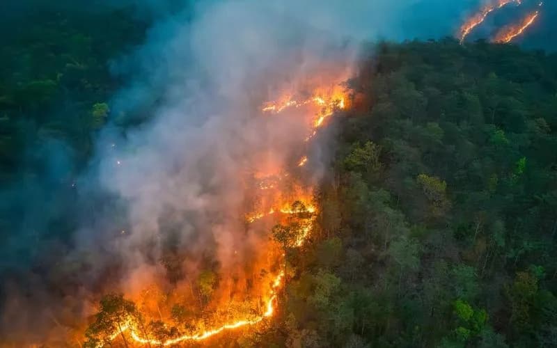Incêndios: Brasil queimou entre janeiro e outubro de 2024 o equivalente ao território de Tocantins