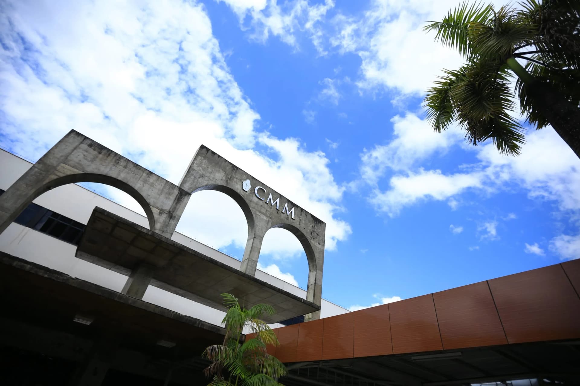 CCJ da Câmara Municipal de Manaus retoma análises em projetos de lei anos passados