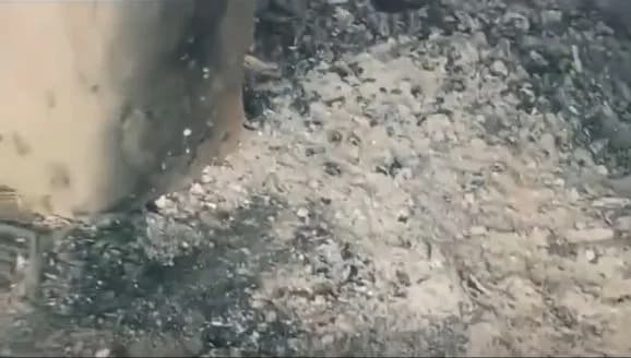 Mulher esquartejada em Borba foi incinerada em forno de torrar farinha