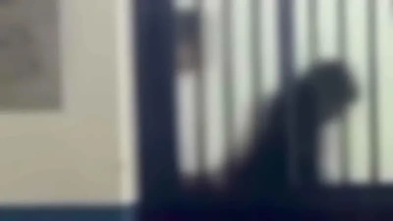 Casal protagoniza cenas de sexo em escola e vídeo viraliza; veja