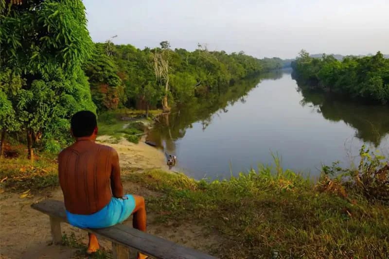 COP30: Quase metade do território da Amazônia Legal é formado por áreas protegidas, diz IBGE