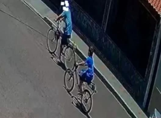 MACABRO: animais mortos são encontrados na casa de vizinho que matou menino, em SP