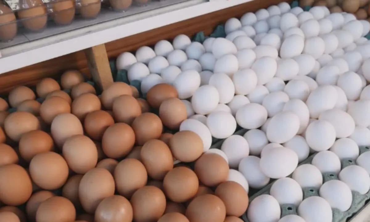 JBS compra 50% da Mantiqueira Alimentos e anuncia entrada no mercado de ovos