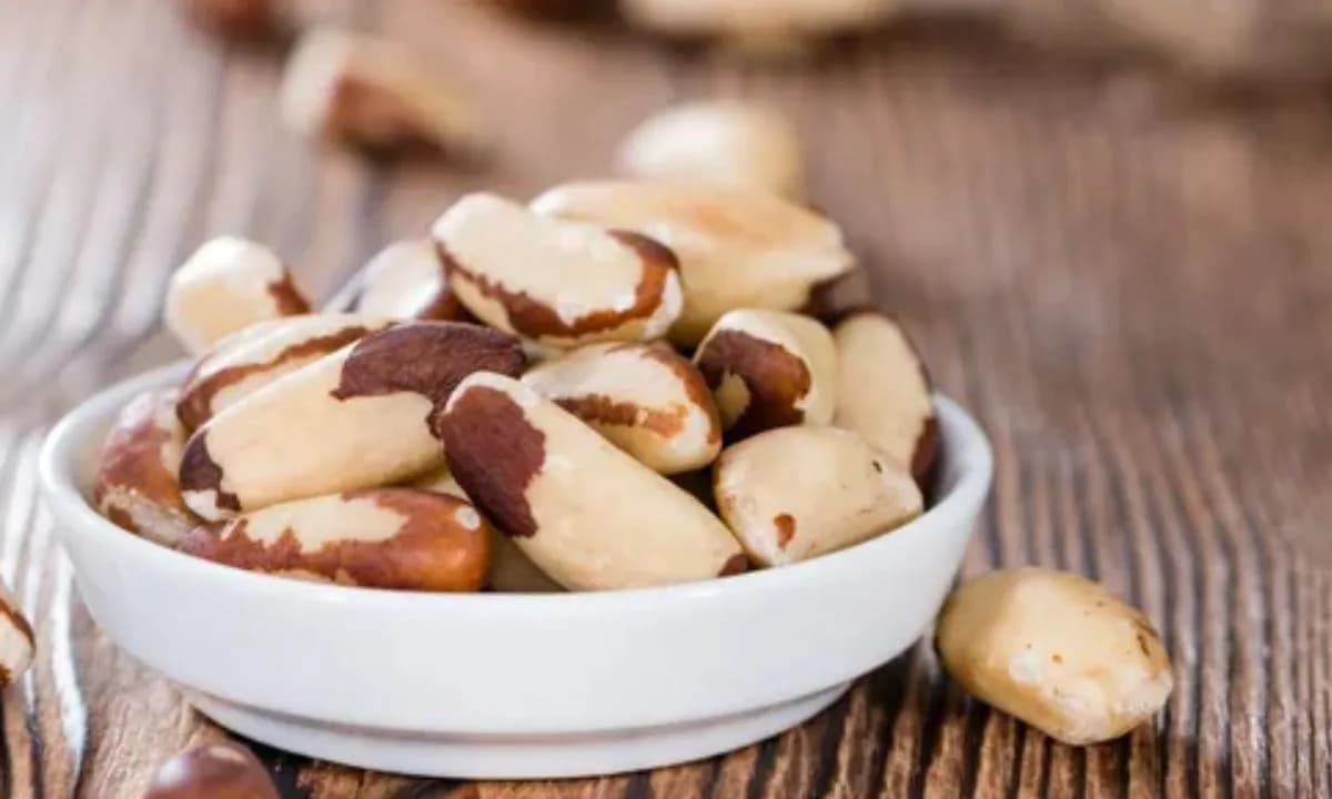 Castanha-do-Pará pode fazer mal a saúde? Especialista responde