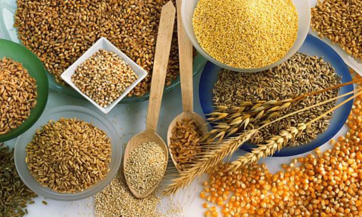 Conheça cinco cereais para quem quer perder peso com saúde