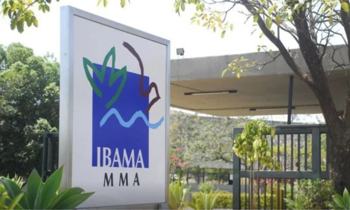 Ibama lança concurso público com salários de até R$ 9 mil; veja como participar