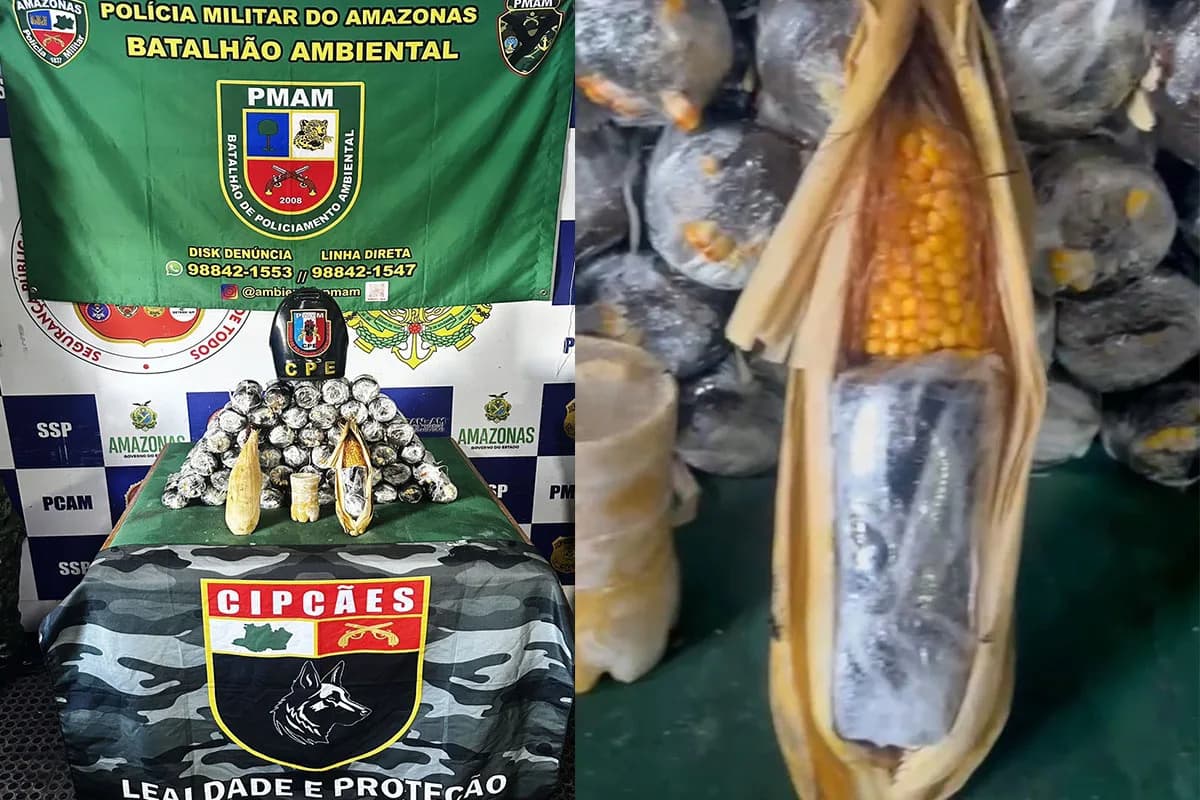 Em Coari, Base Arpão 1 apreende 15 kg de oxi em formato de espiga de milho