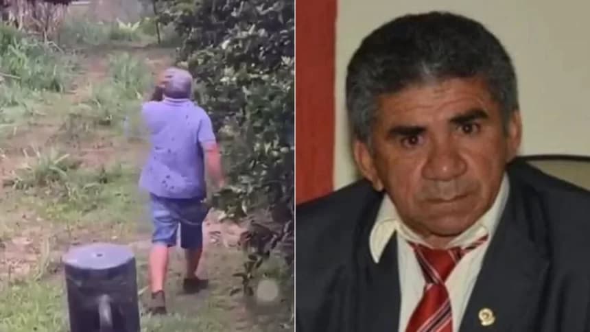 VÍDEO: Ex-vereador do interior do Ceará morre após ataque de abelhas