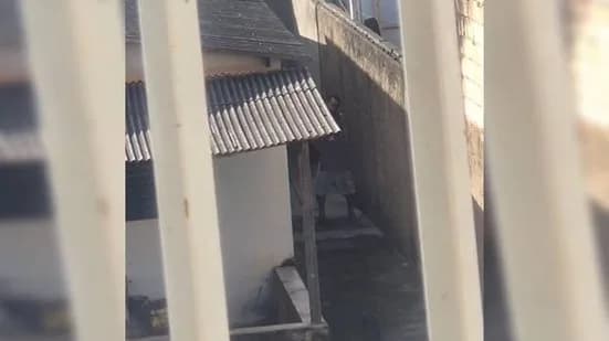 Homem é preso após ser flagrado se masturbando em frente à janela de vizinha