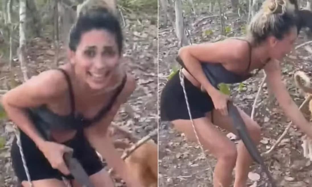 VÍDEO: Ibama procura por mulher que torturou e matou onça-parda