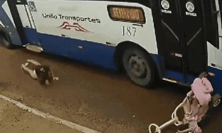 VÍDEO: Mãe e filha em carrinho são atingidas por ônibus e escapam por milagre