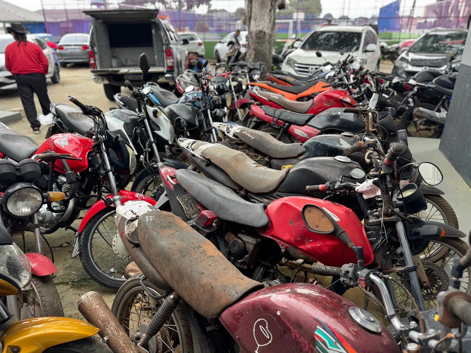 Polícia recupera 246 veículos roubados e furtados em 2024 no AM