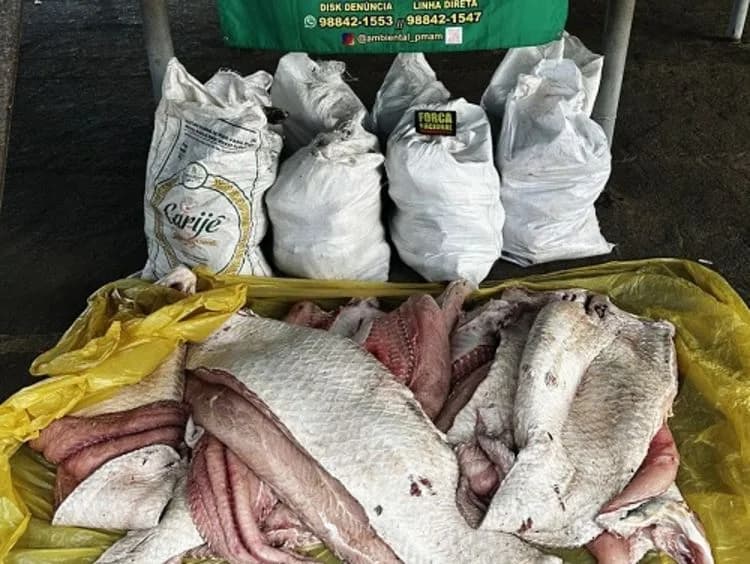 Polícia apreende mais 500 quilos de pescado irregular em Coari