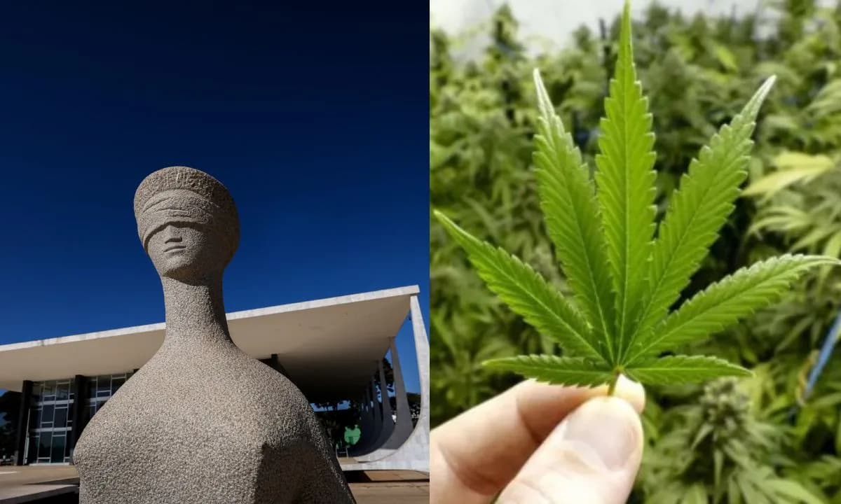 STF derruba recursos contra decisão que descriminaliza uso da maconha