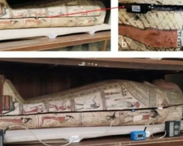 Cientistas analisam cheiro de múmias egípcias para desvendar técnicas de preservação