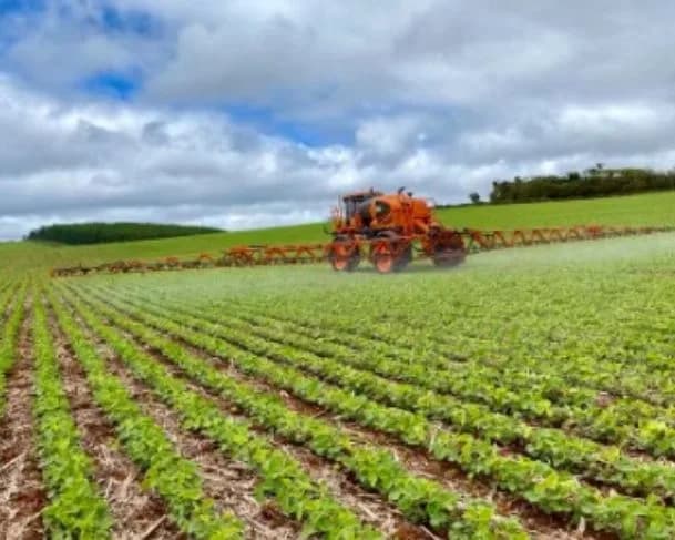 Governo vai editar MP para liberação de R$ 4 bilhões para Plano Safra