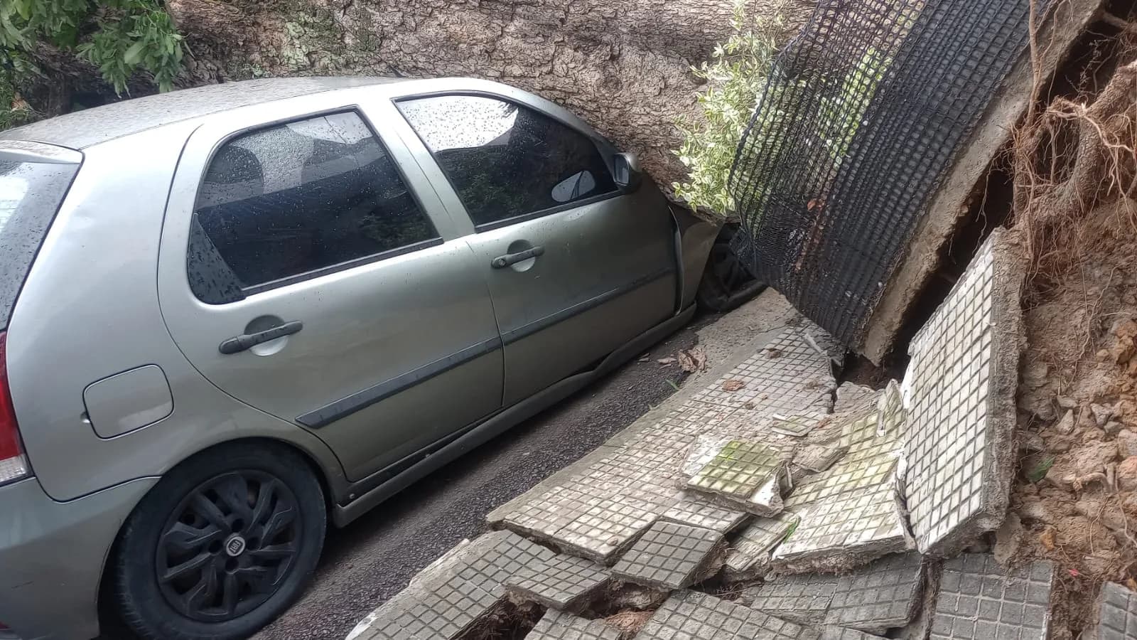 VÍDEOS: Árvore tomba e cai em cima de carro no Centro de Manaus