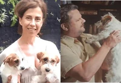 “Oscar canino”: Cachorros do filme “Ainda Estou Aqui” ganham prêmio internacional