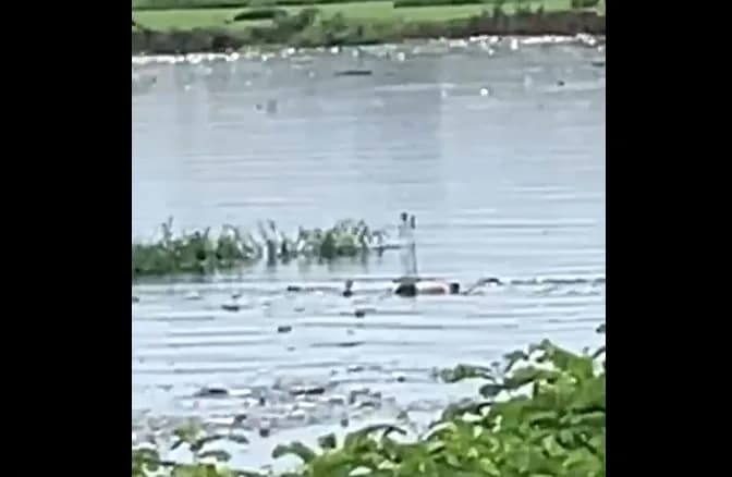 Corpo de homem é encontrado boiando no igarapé do Educandos