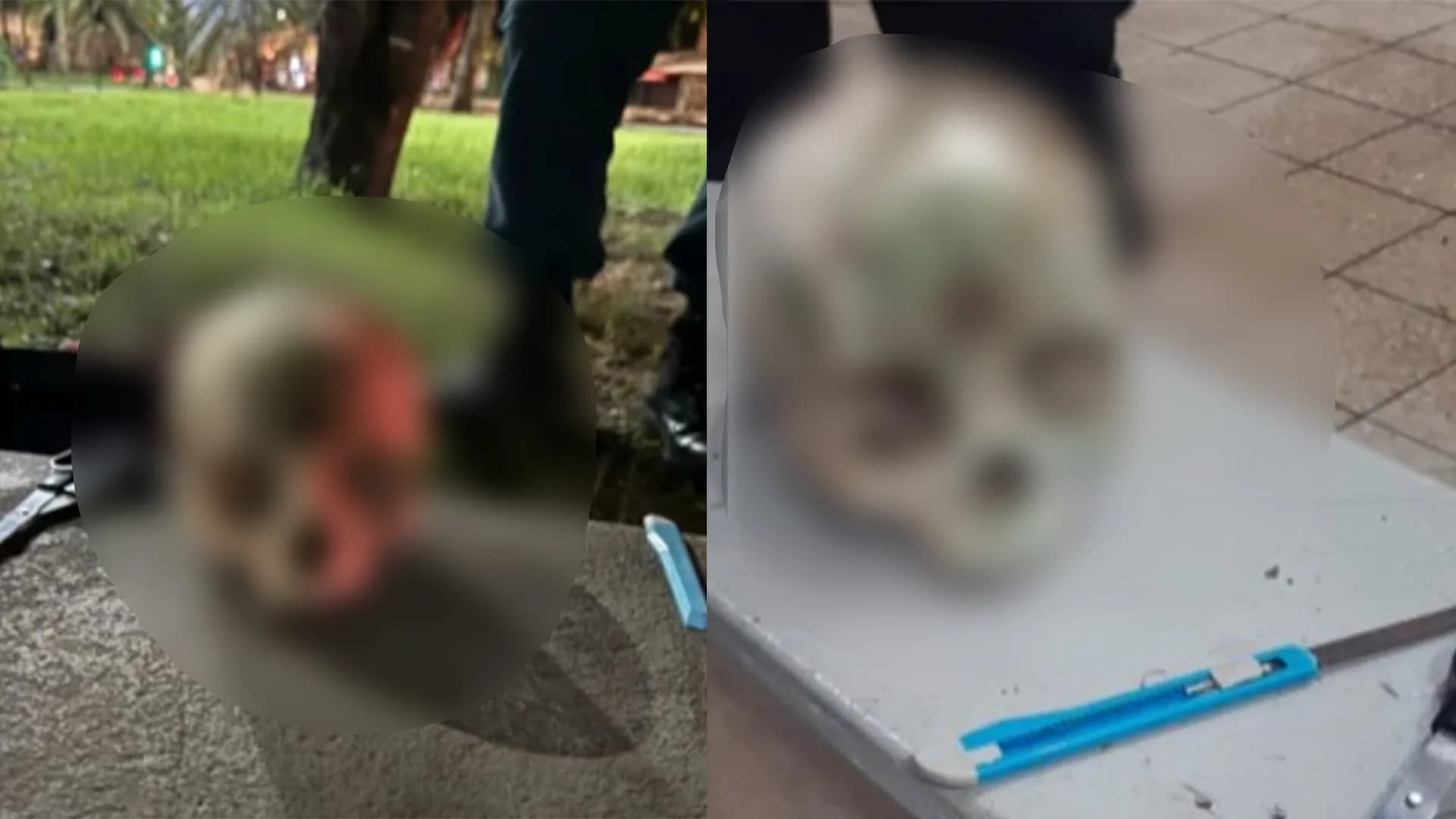 Homem é flagrado com crânio humano dentro de mochila em Belém